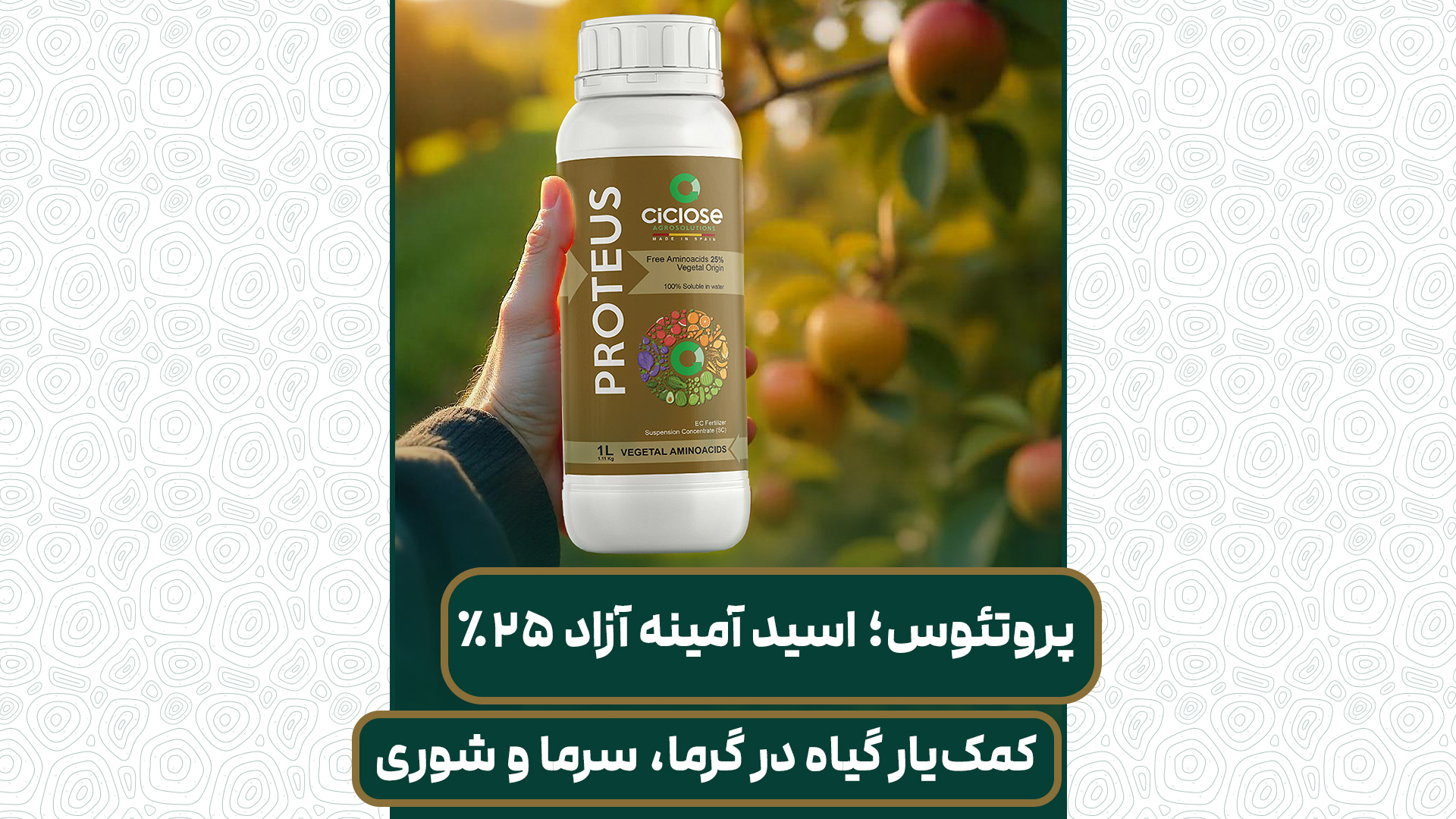 پروتئوس
