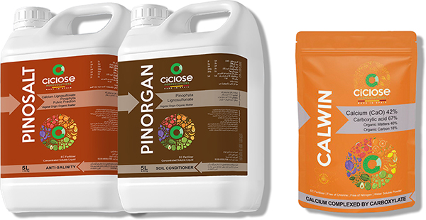 Kalvin | Pinorgan | Pinosalt