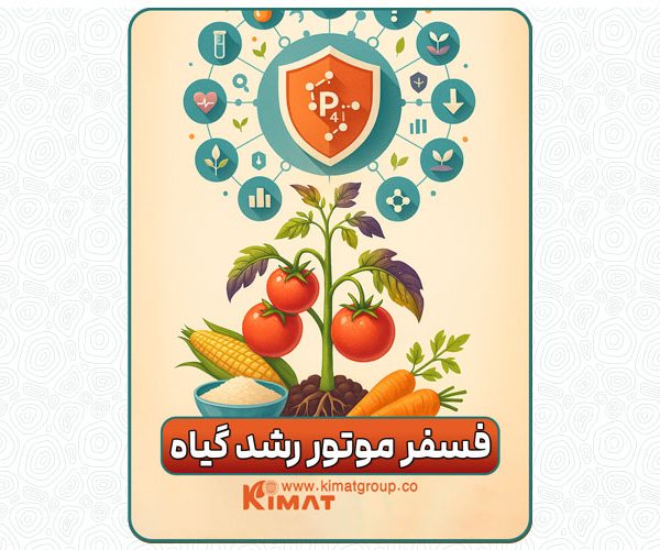 کمبود فسفر در گیاهان