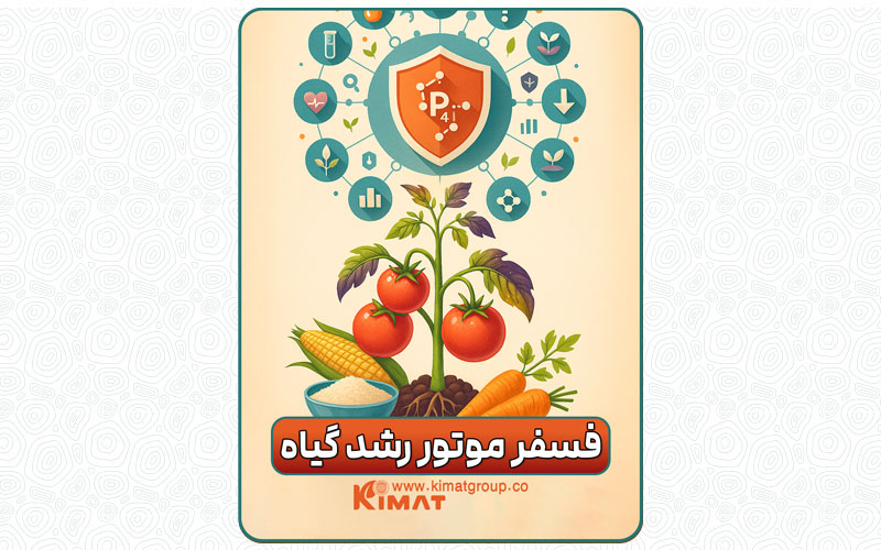کمبود فسفر در گیاهان