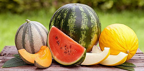 کمبود مواد مغذی در ملون یا هندوانه