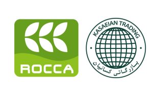 روکا - rocca