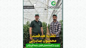 تغذیه هدفمند، محصول صادراتی
