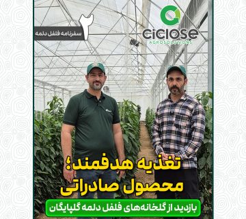 تغذیه هدفمند، محصول صادراتی