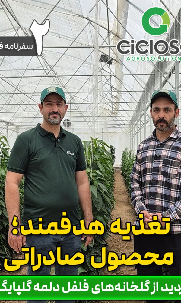 تغذیه هدفمند، محصول صادراتی