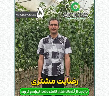 رضایت مشتری