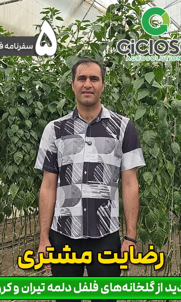 رضایت مشتری