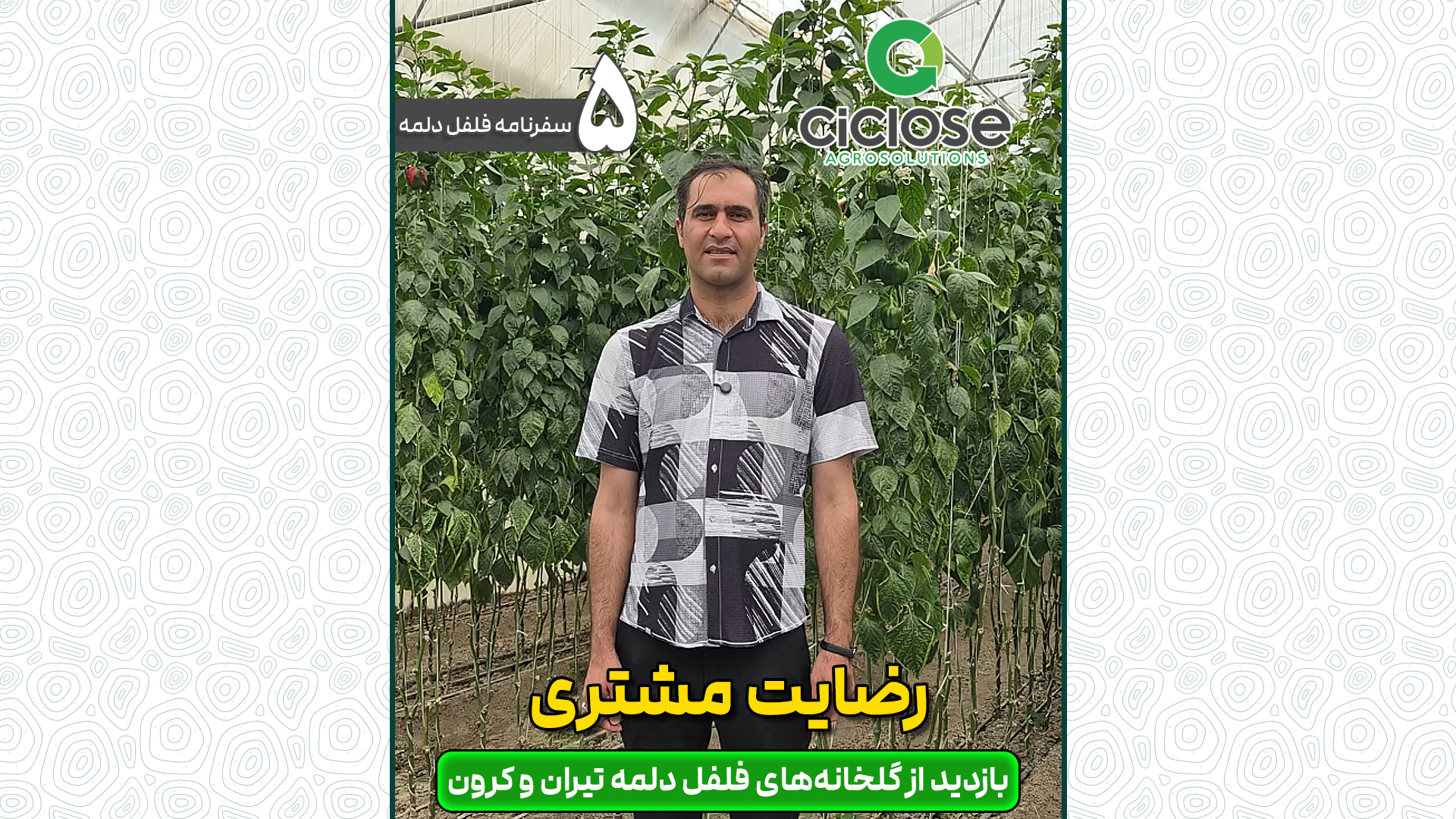 رضایت مشتری