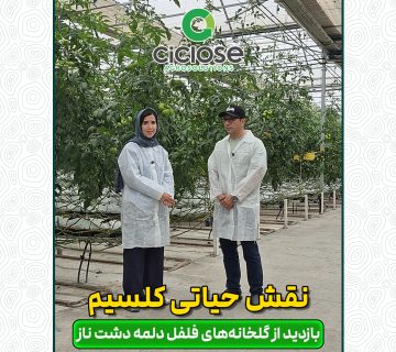 نقش حیاتی کلسیم