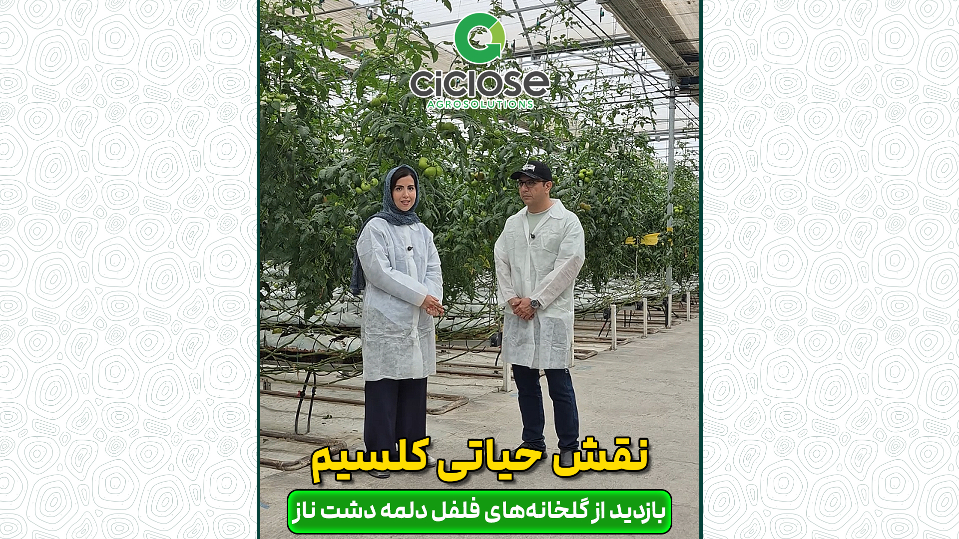 نقش حیاتی کلسیم