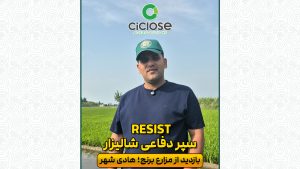 سپر دفاعی شالیزار