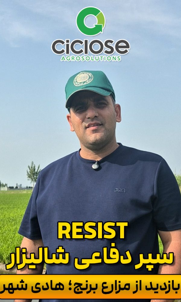 سپر دفاعی شالیزار