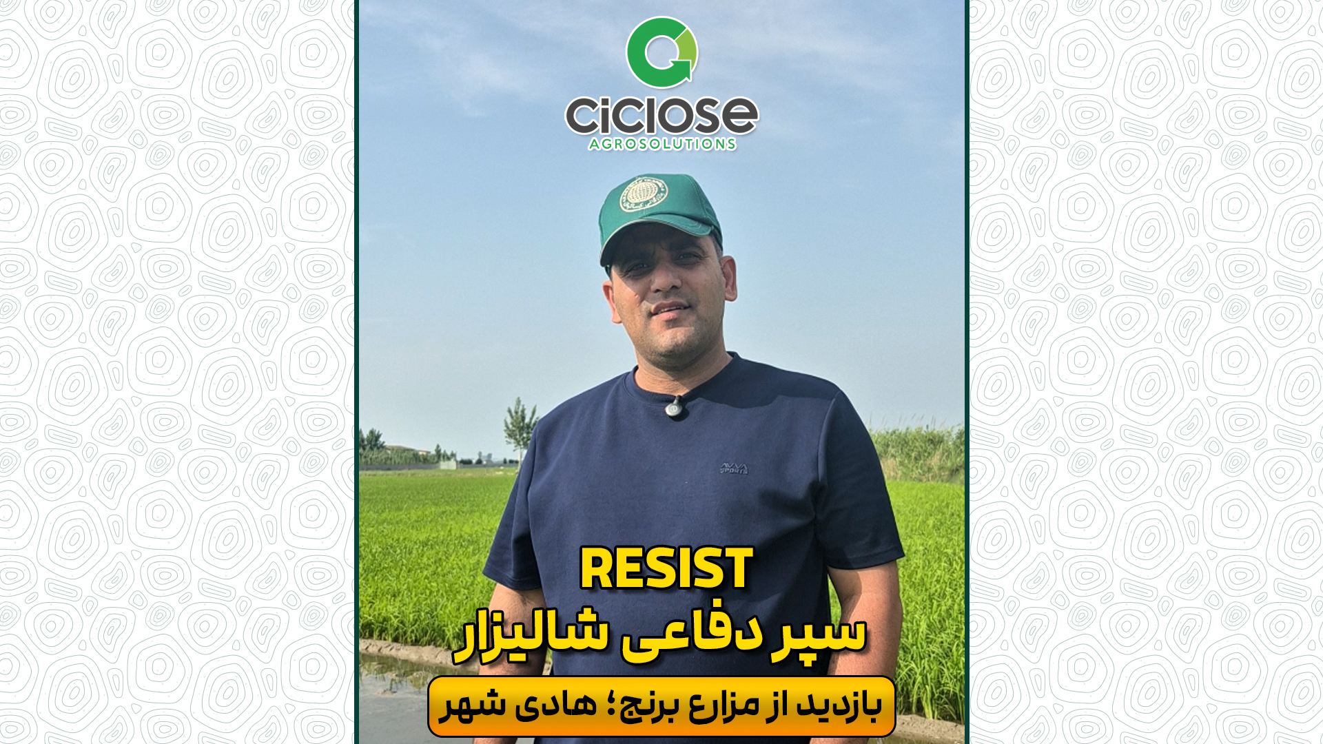 سپر دفاعی شالیزار