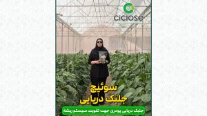 کود سوئیچ سیکلوز