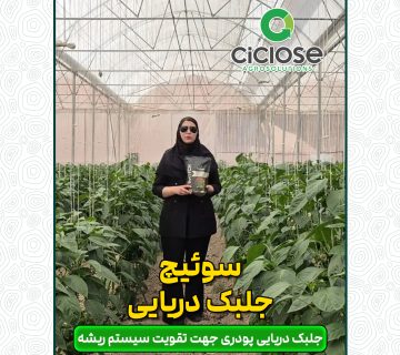 کود سوئیچ سیکلوز