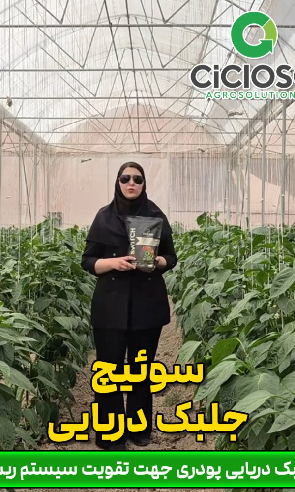 کود سوئیچ سیکلوز