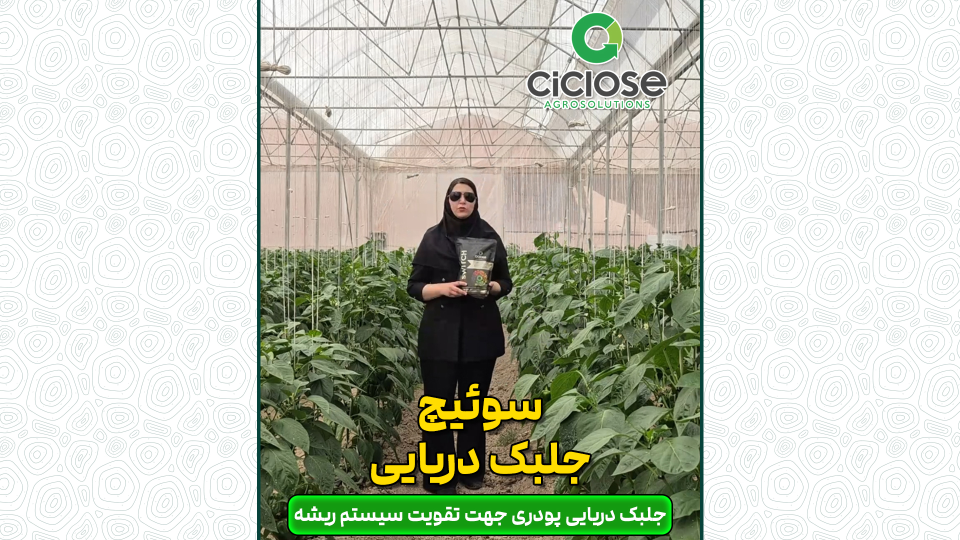 کود سوئیچ سیکلوز