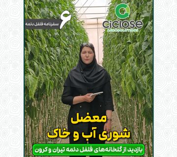 معضل شوری آب و خاک