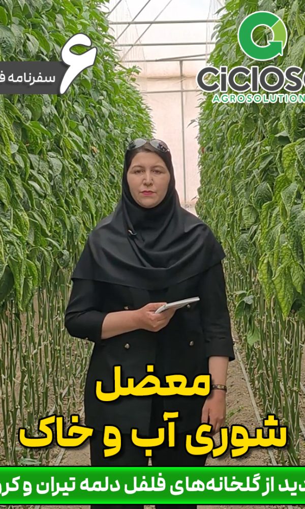 معضل شوری آب و خاک