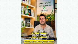 ریشه قوی تر، استقرار بهتر