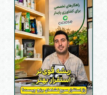 ریشه قوی تر، استقرار بهتر