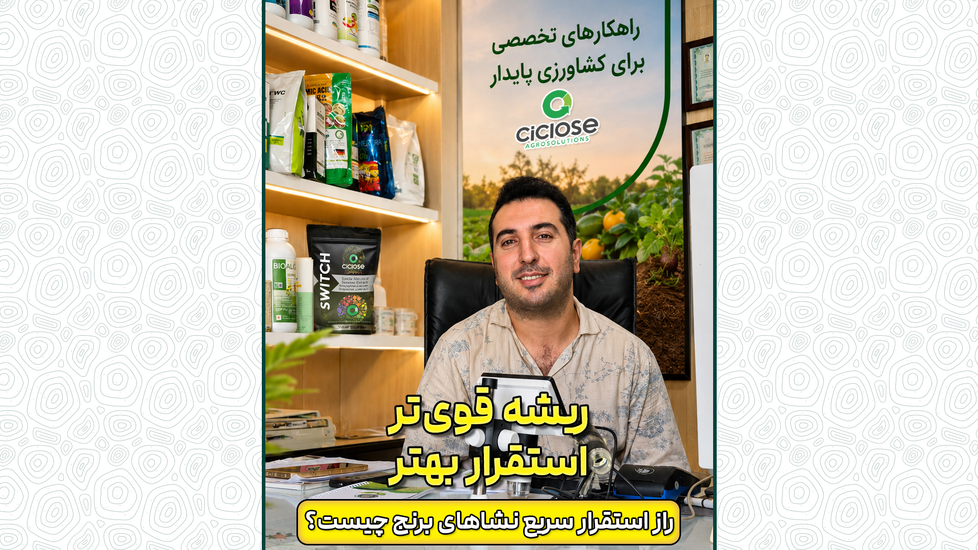 ریشه قوی تر، استقرار بهتر