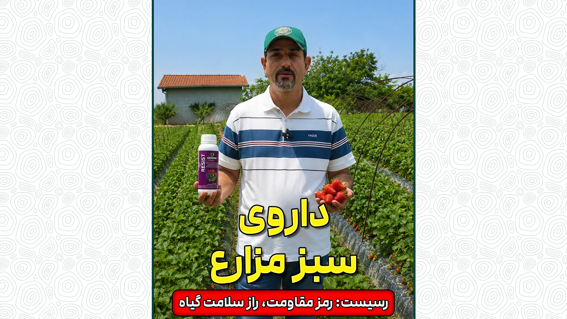 کودداروی مزارع سبز!