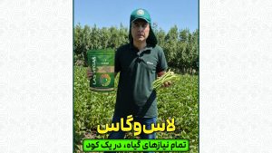 لاس وگاس