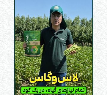 لاس وگاس