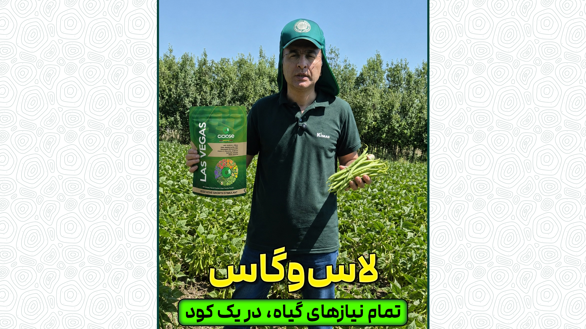 لاس وگاس
