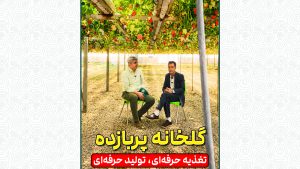 گلخانه پربازده؛ تغذیه حرفه‌ای، تولید حرفه‌ای