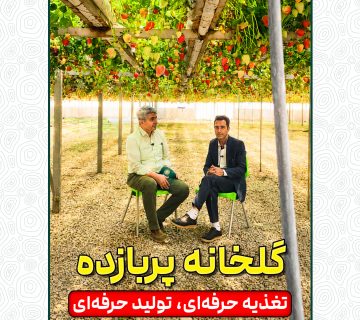 گلخانه پربازده؛ تغذیه حرفه‌ای، تولید حرفه‌ای