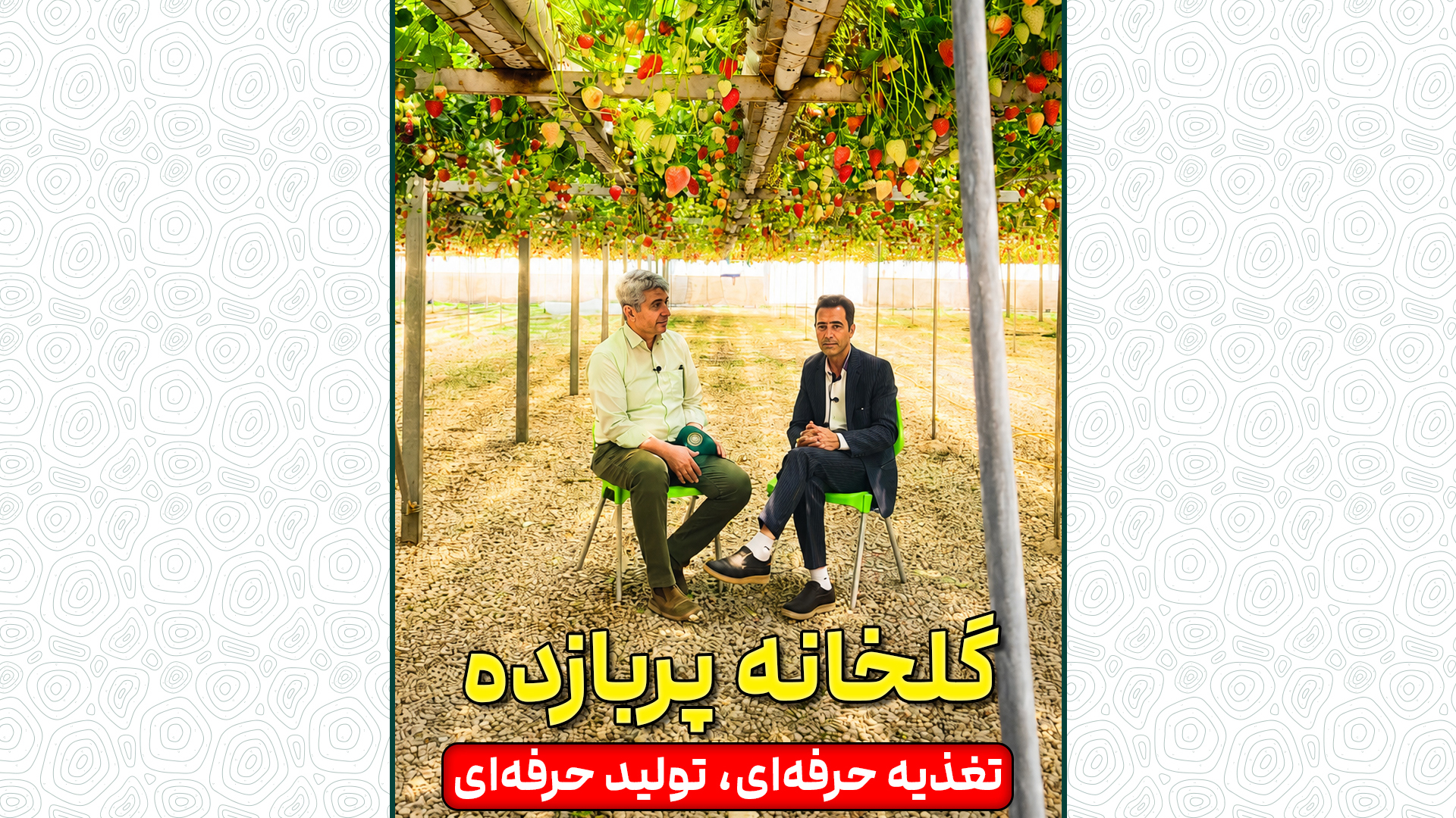 گلخانه پربازده؛ تغذیه حرفهای، تولید حرفهای