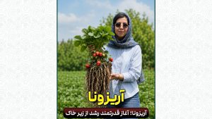 از ریشه شروع کن