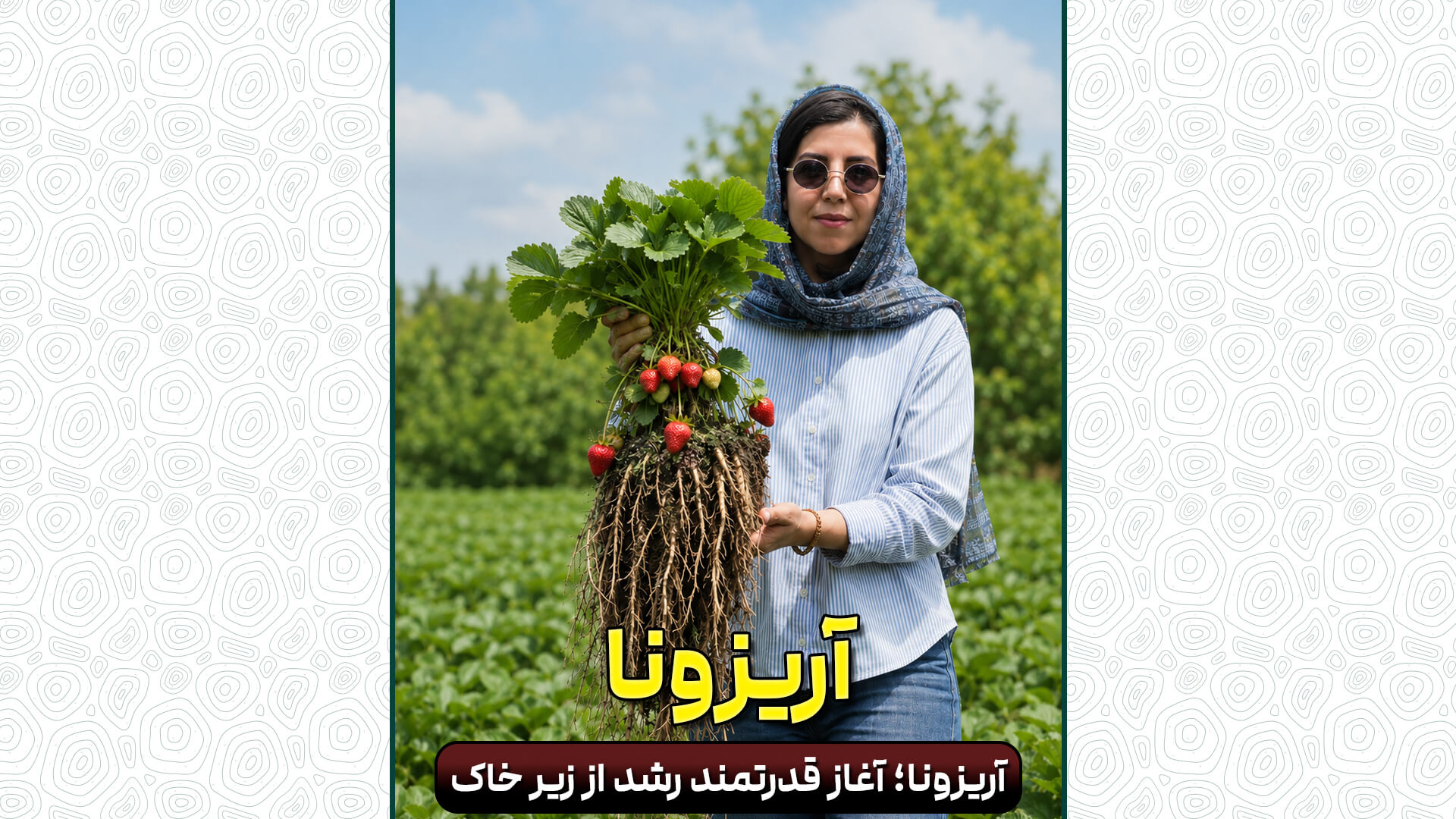 از ریشه شروع کن