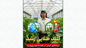 تنظیم دما و رطوبت در گلخانه هیدروپونیک