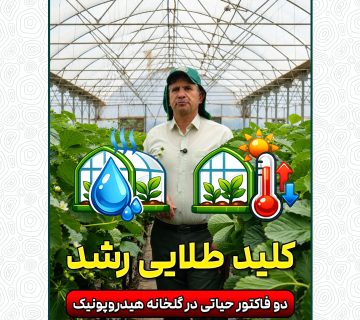تنظیم دما و رطوبت در گلخانه هیدروپونیک
