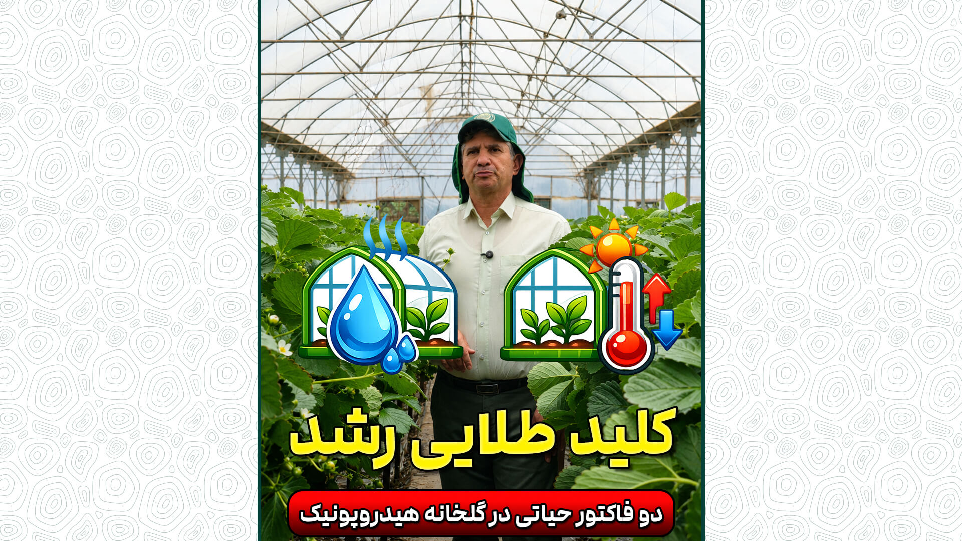 تنظیم دما و رطوبت در گلخانه هیدروپونیک