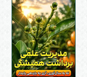 مدیریت علمی، برداشت همیشگی