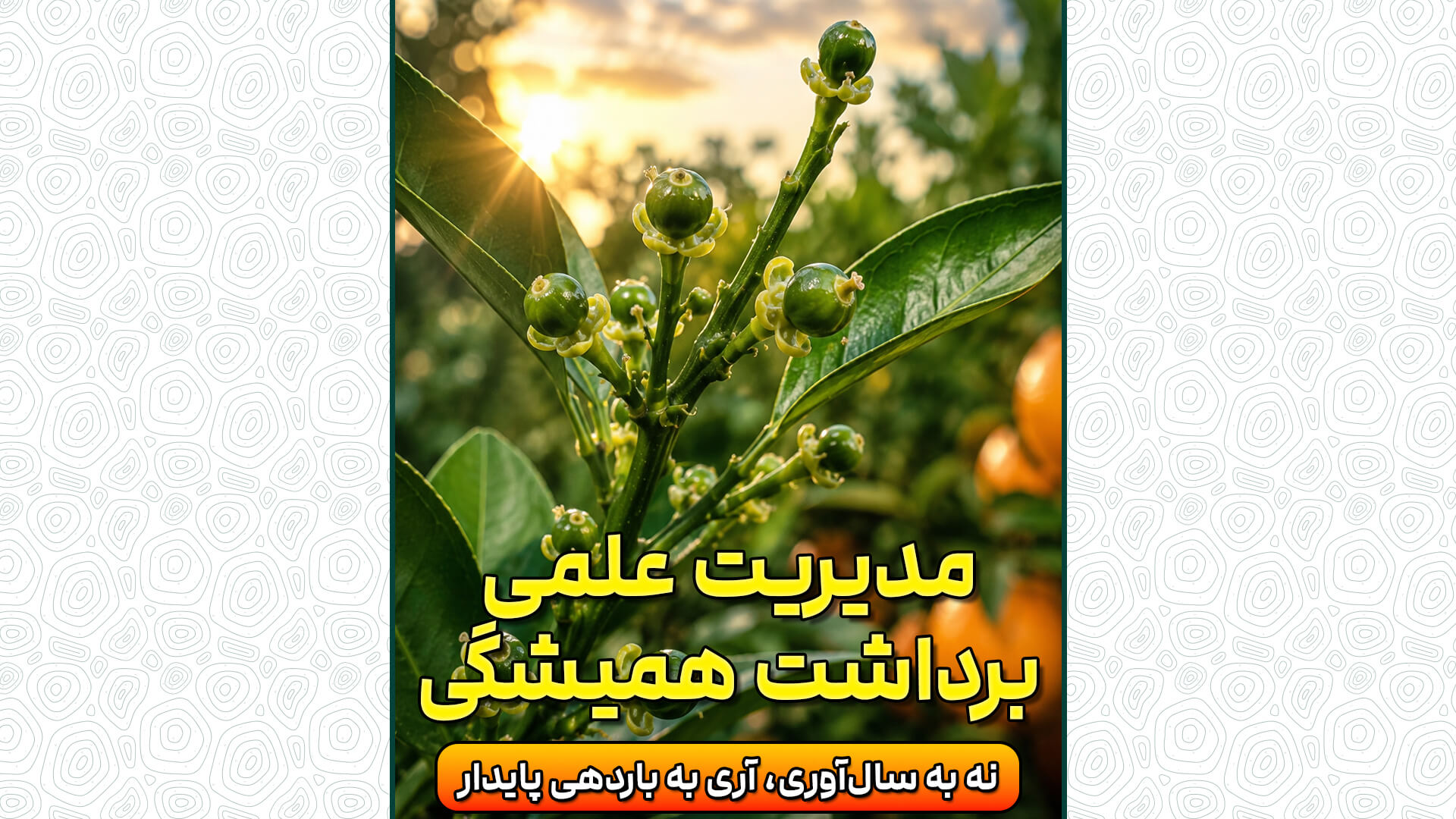 مدیریت علمی، برداشت همیشگی