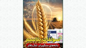 سولفات پتاسیم؛ دانه‌های سنگین‌تر، تناژ بالاتر