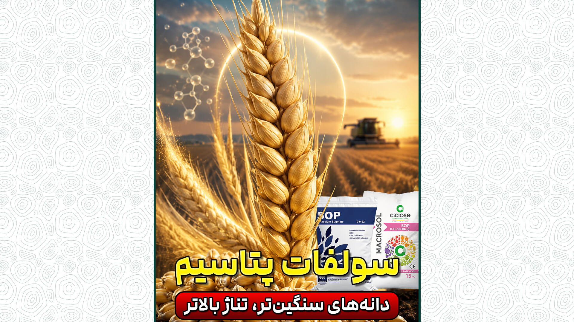 سولفات پتاسیم؛ دانههای سنگینتر، تناژ بالاتر