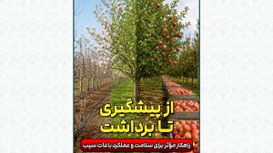 توصیه‌های تغذیه‌ای و حفاظتی در باغهای سیب شهر دماوند