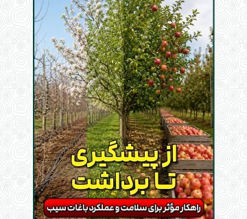 توصیه‌های تغذیه‌ای و حفاظتی در باغهای سیب شهر دماوند