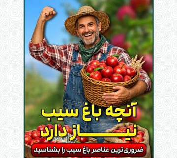 چرا آهن، روی و کلسیم برای باغ سیب ضروری‌اند؟
