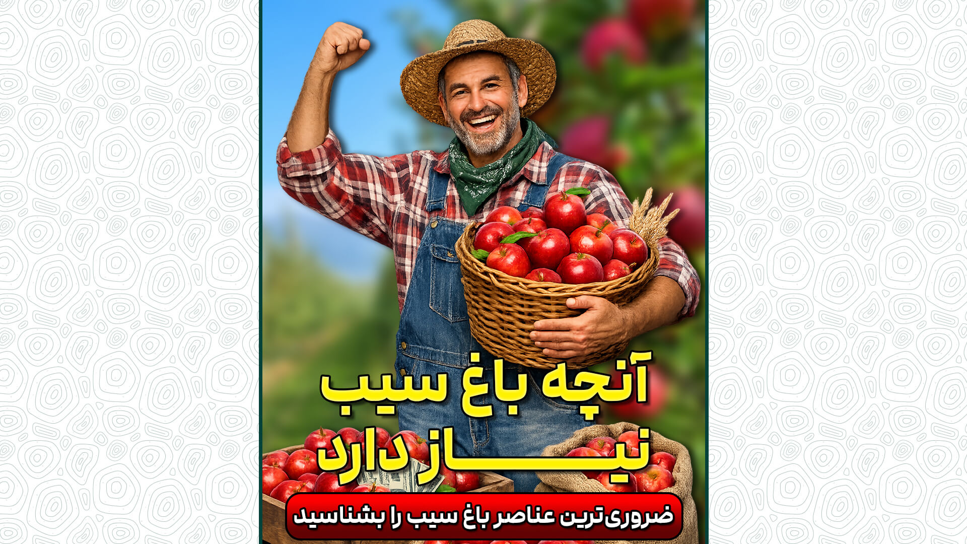 چرا آهن، روی و کلسیم برای باغ سیب ضروریاند؟