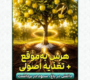 هر شاخه سالم، یک گام تا برداشت بهتر