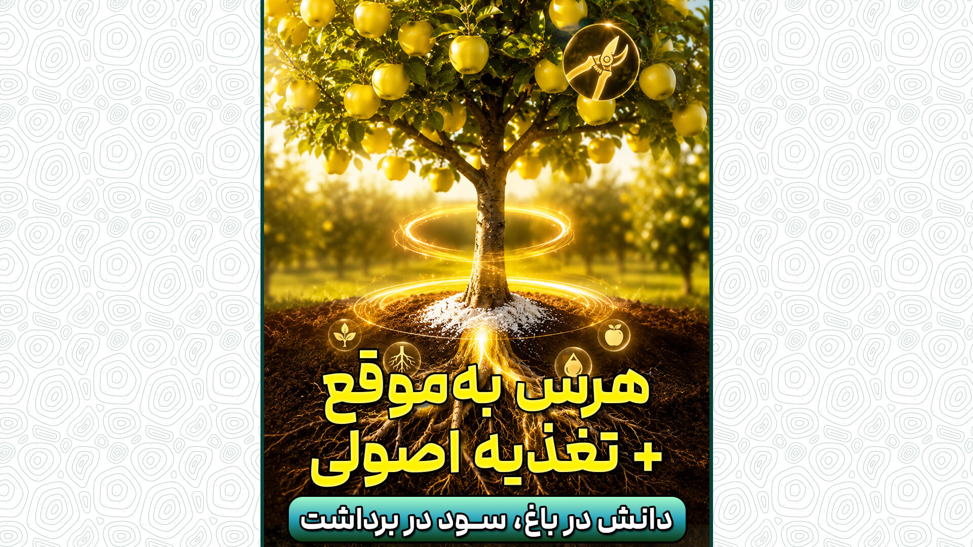 هر شاخه سالم، یک گام تا برداشت بهتر