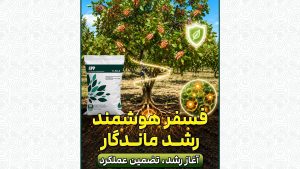 رضایت باغدار، نتیجه تغذیه اصولی در زمان مناسب