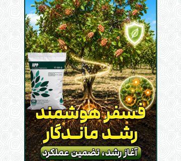 رضایت باغدار، نتیجه تغذیه اصولی در زمان مناسب